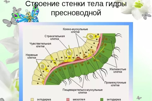 Кракен ссылка fo feng crmp ru