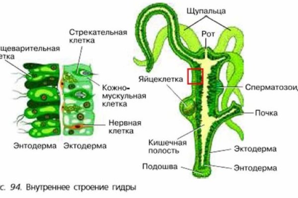 Где взять ссылку на кракен kraken014 com